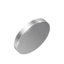 מטבע כסוף על הצד